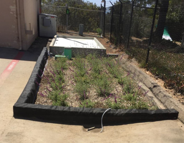 Focalpoint Emr Gallery 600 1