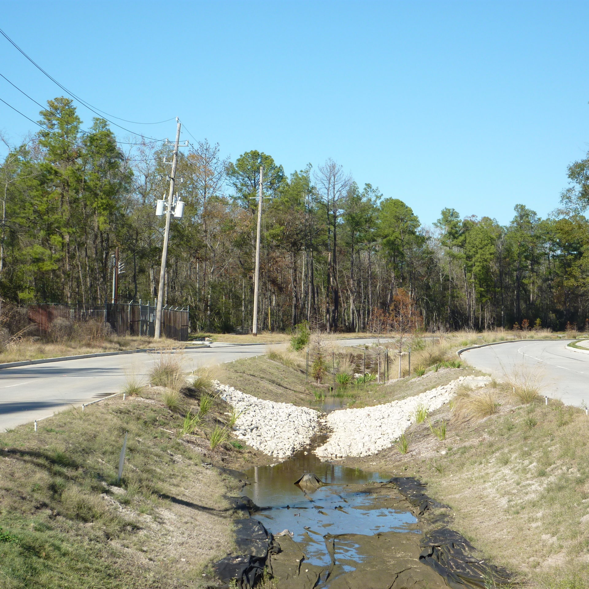 Birnamwood Drive Dec 2012(15)