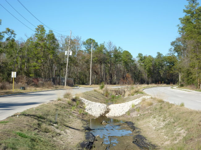 Birnamwood Drive Dec 2012(15)