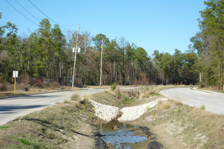 Birnamwood Drive Dec 2012(15)