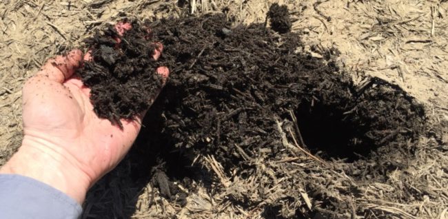 Mulchmatters 333729 Edited