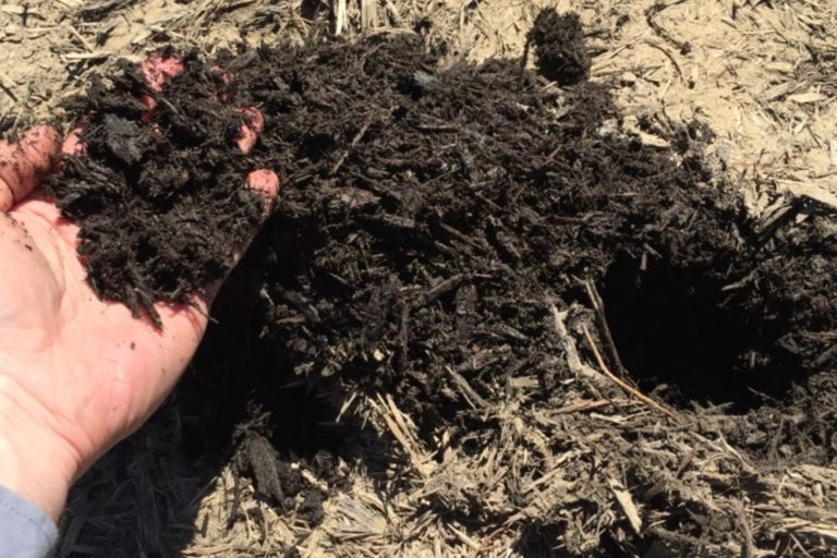 Mulchmatters 333729 Edited