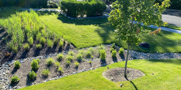 Asce Focalpoint Sm 1