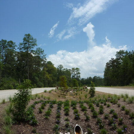 Birnamwood Focalpoint Sm 2