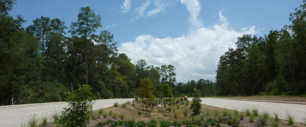 Birnamwood Focalpoint Sm 2