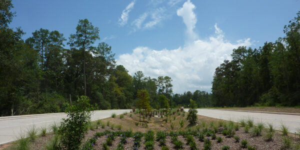 Birnamwood Focalpoint Sm 2