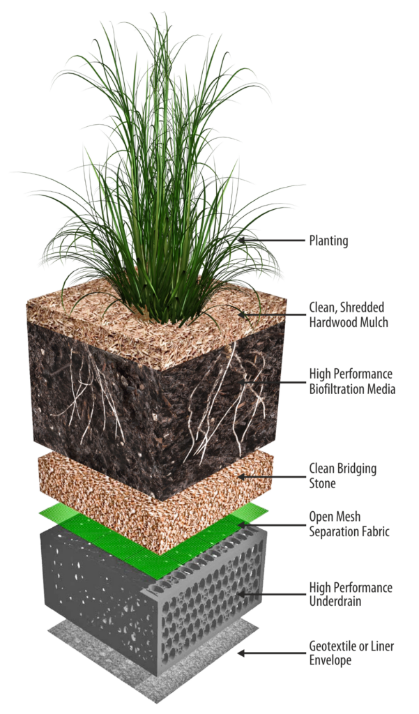 Foclpoint Trans Cross Section Large 1