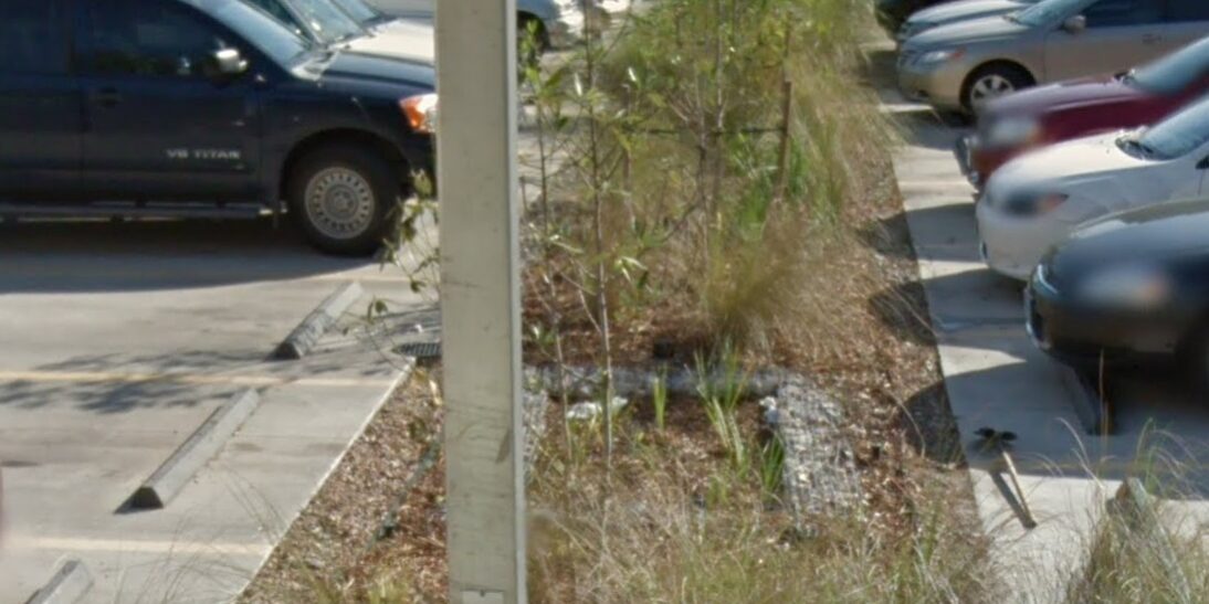 Kendall Library Focalpoint 3