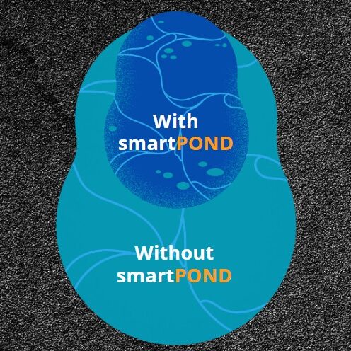 Smartpond Real Timet 1