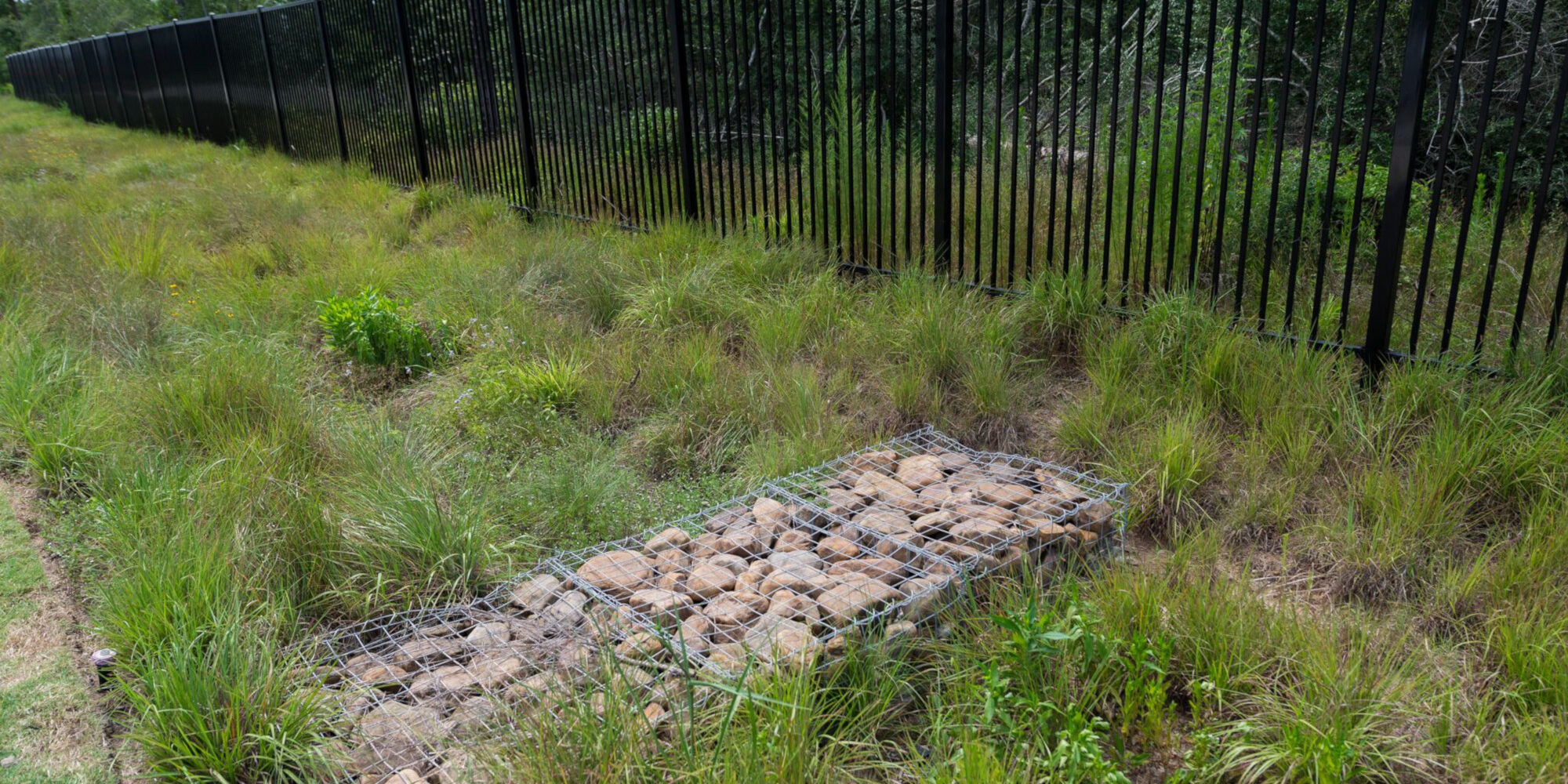 Case Study Springwoods 4