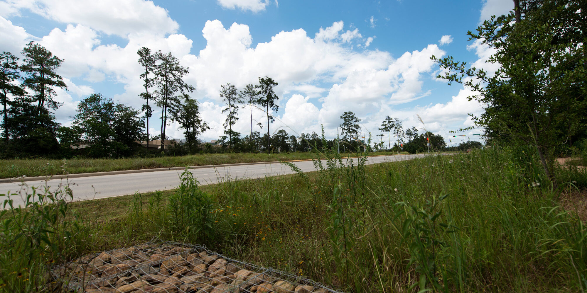 Case Study Springwoods 6