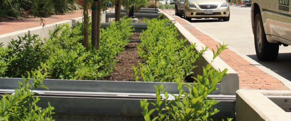 Focalpoint Gallery Applications 4