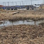 Geps Gallery Applications 4