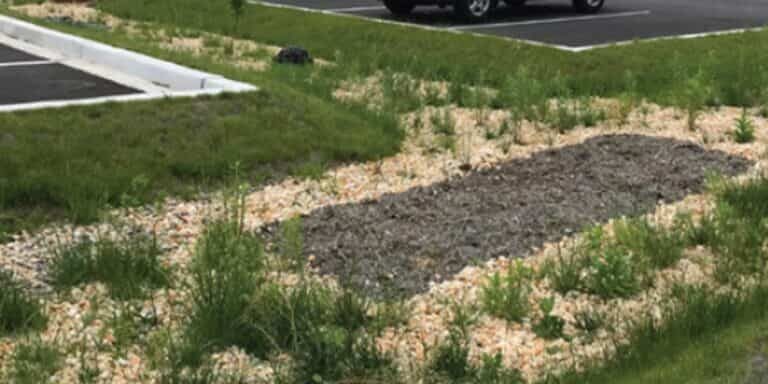 Kaufman Case Study Gallery 2