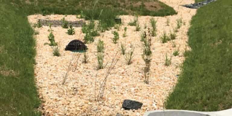 Kaufman Case Study Gallery 3