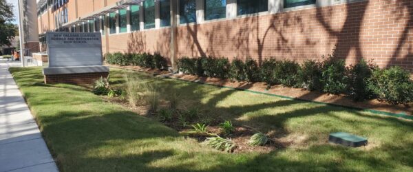 Nola School Gallery 1