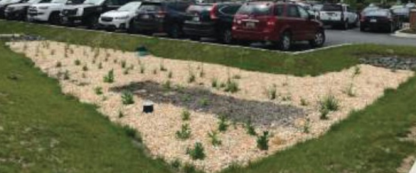 Upper Chesapeak Gallery 600 1